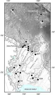 Ross Sea Benthic Ecosystems: Macro- and Mega-faunal Community Patterns From a Multi-environment Survey